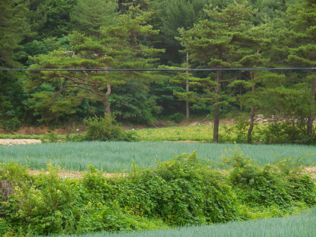 DSCN0437.JPG